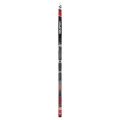 Narty Salomon Snowscape 8 Skin (and Prolink Auto)