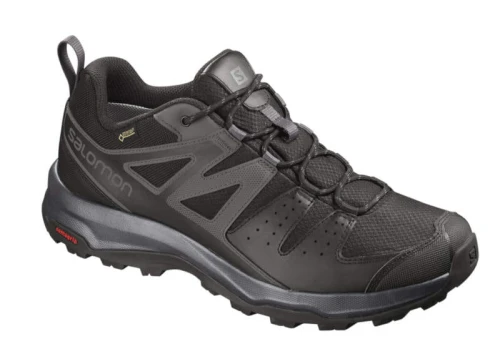 Buty Salomon X Radiant GTX Black 